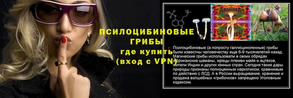 прущая мука Елабуга
