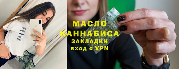сатива Ельня