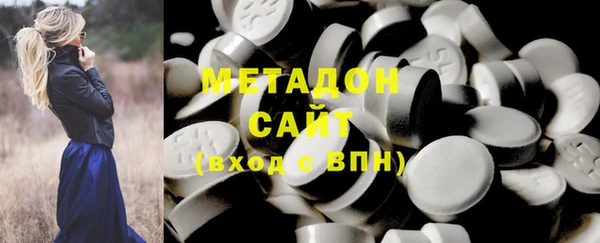 сатива Ельня