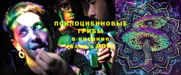 индика Елизово