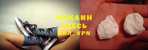 индика Елизово