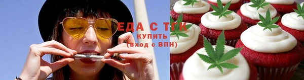 индика Елизово