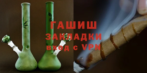 индика Елизово