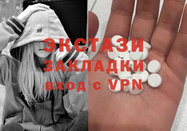 сатива Ельня