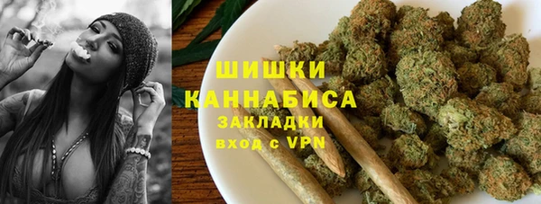 сатива Ельня