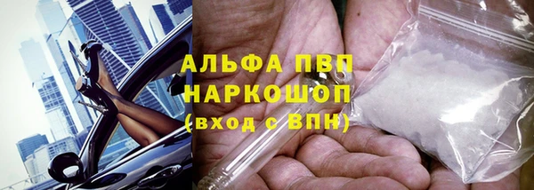 сатива Ельня