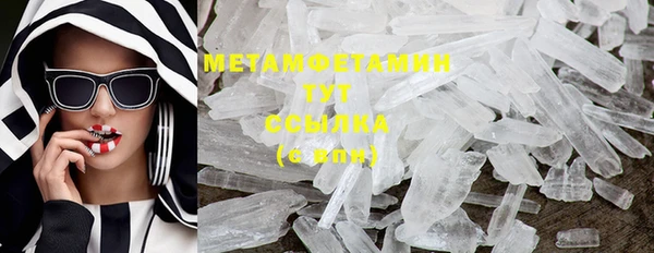индика Елизово