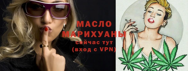 индика Елизово